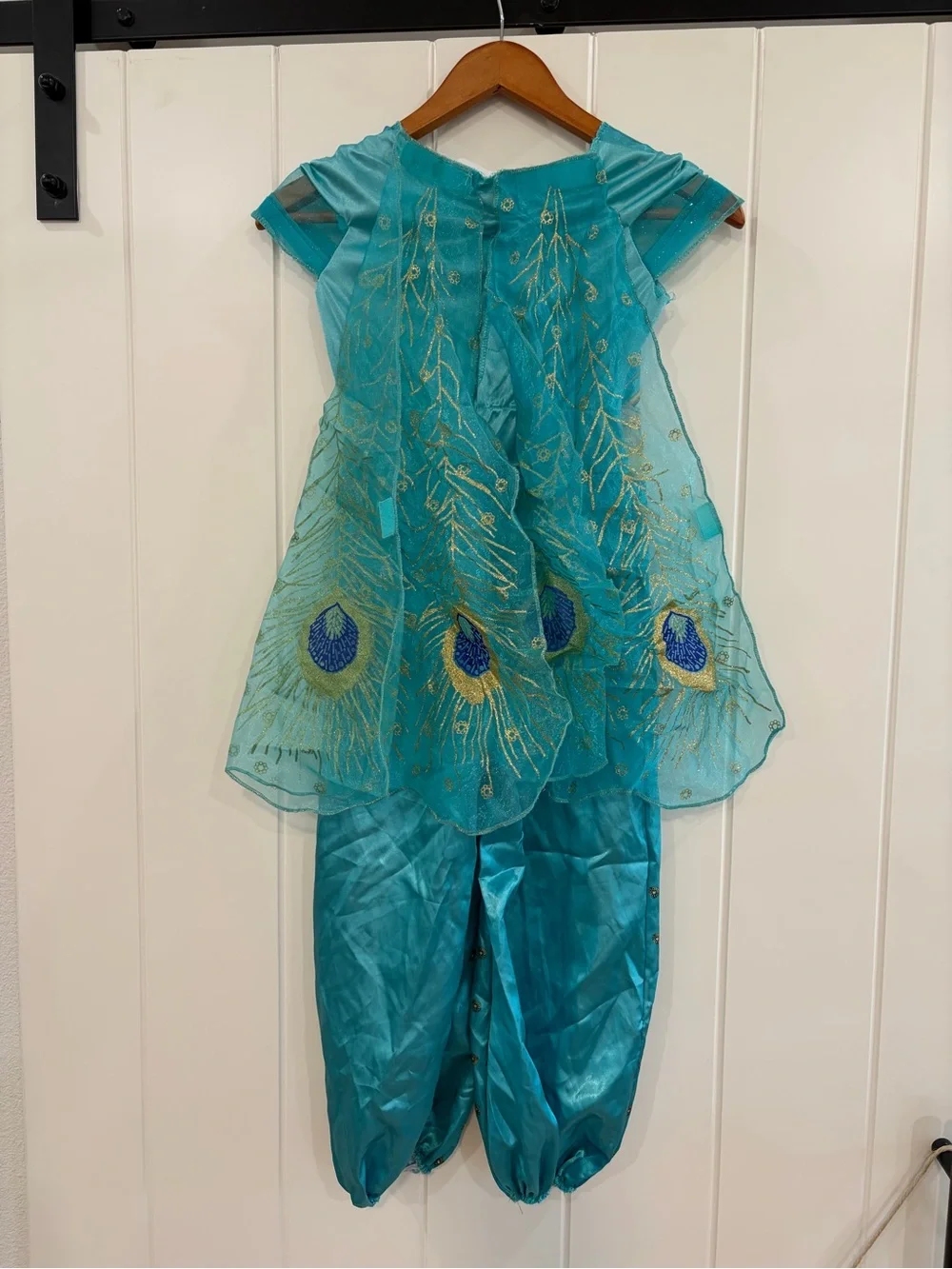 Jasmine dress-up Costume